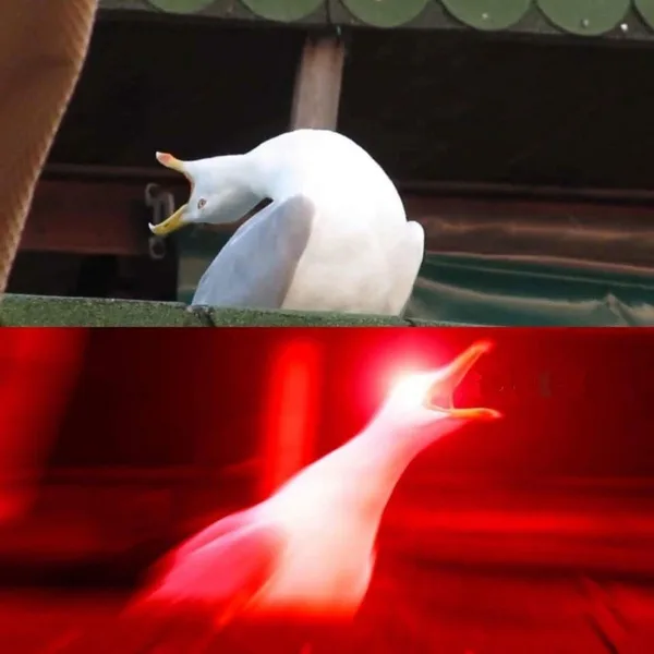 Inhaling Seagull blank meme template